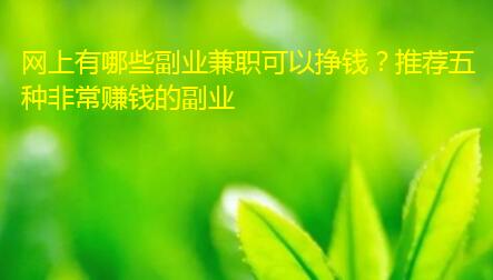 网上有哪些副业兼职可以挣钱?推荐五种非常赚钱的副业 网上有哪些副业兼职可以挣钱?推荐五种非常赚钱的副业