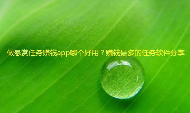 做悬赏任务赚钱app哪个好用？赚钱最多的任务软件分享