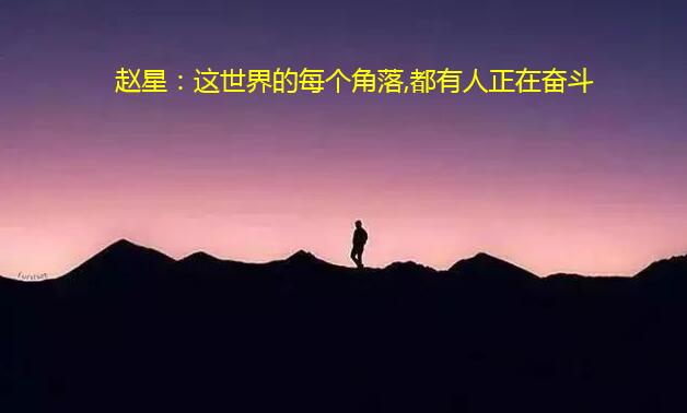 赵星：这世界的每个角落，都有人正在奋斗